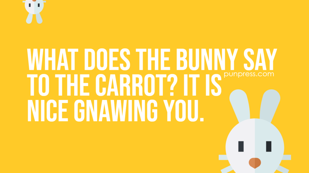 what does the bunny say to the carrot? it is nice gnawing you - bunny puns