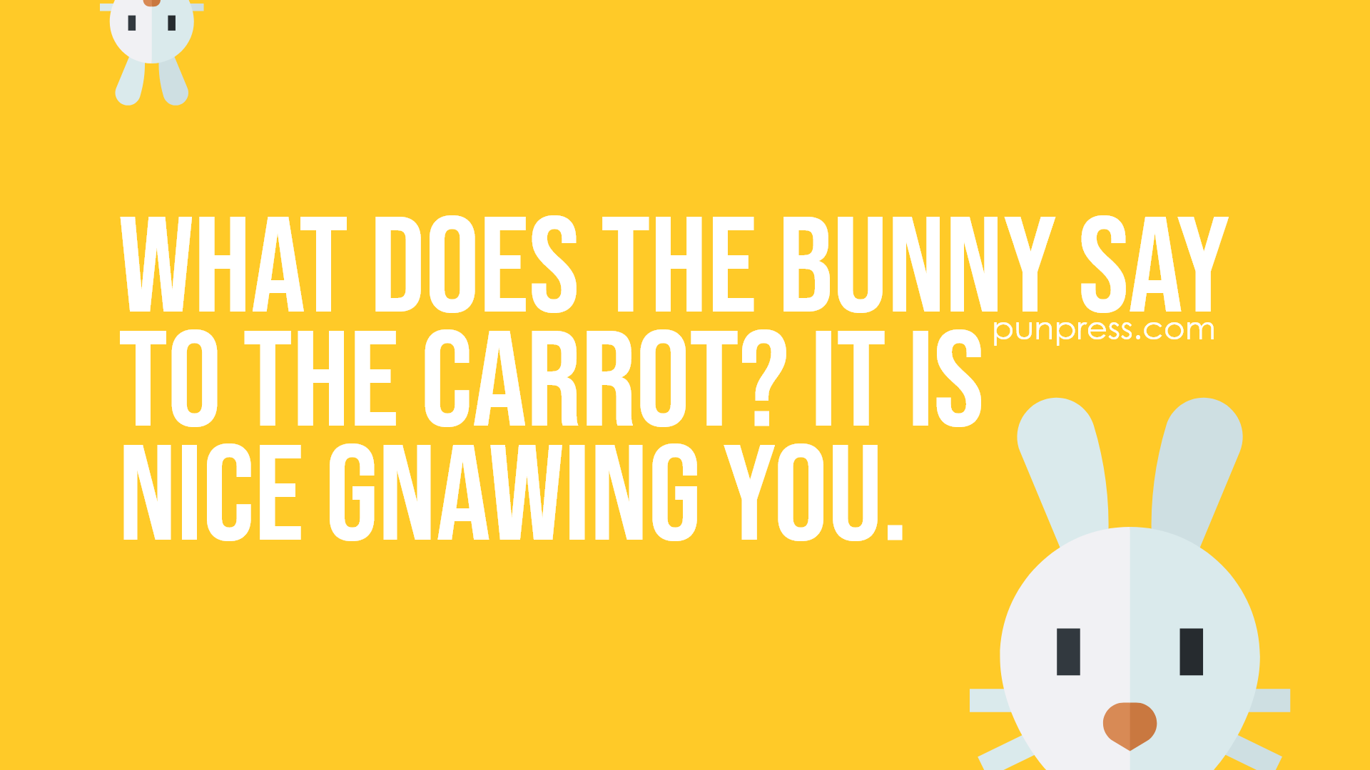 50 Bunny Puns That Are Actually Really Bunny PunPress
