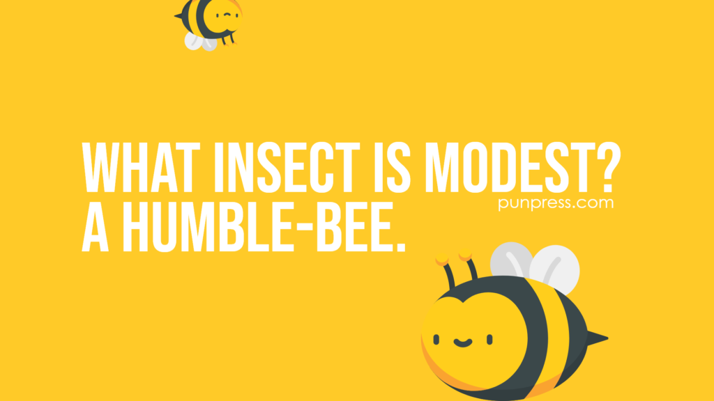 what insect is modest? a humble-bee - bug puns