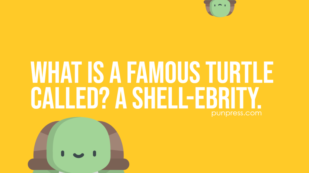 what is a famous turtle called? a shell-ebrity - turtle puns