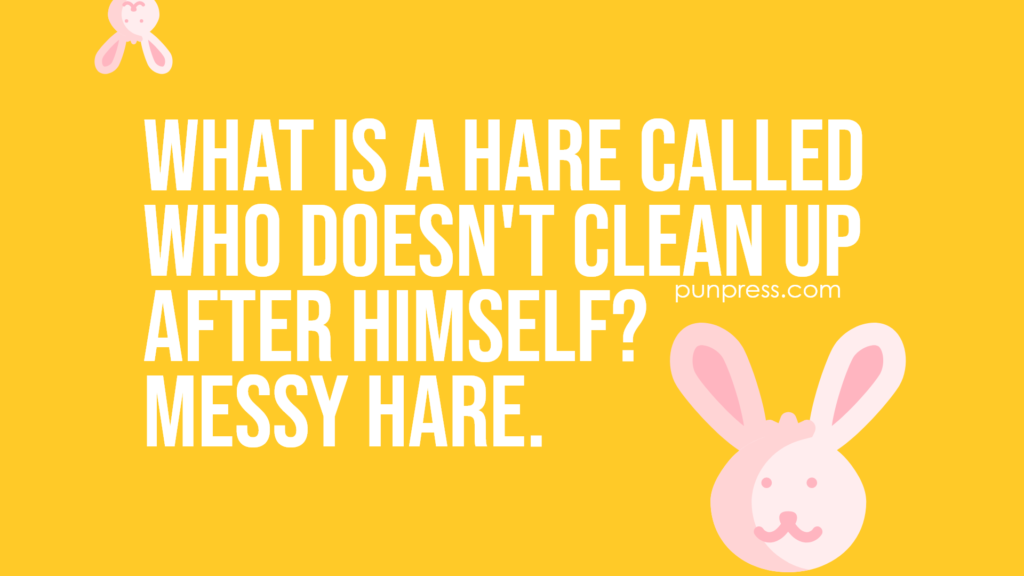 what is a hare called who doesn't clean up after himself? messy hare - hare puns