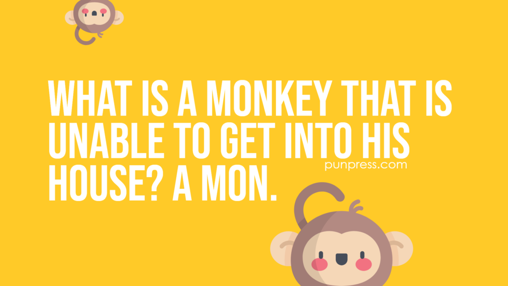 what is a monkey that is unable to get into his house? a mon - monkey puns