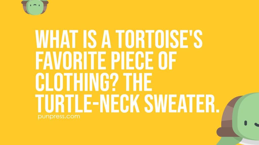 what is a tortoise's favorite piece of clothing? the turtle-neck sweater - turtle puns