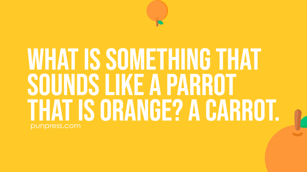 what is something that sounds like a parrot that is orange? a carrot - orange puns