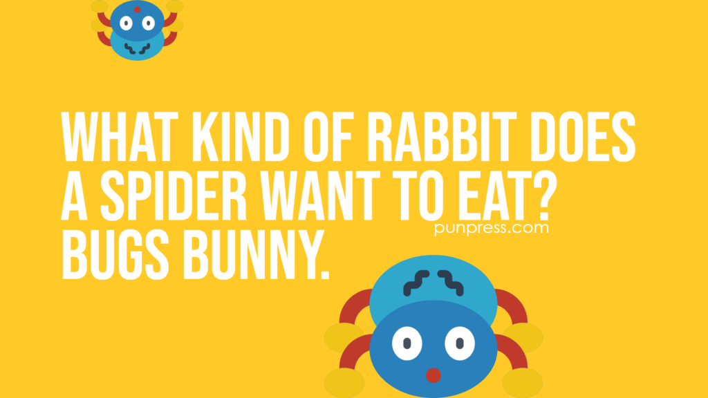 what kind of rabbit does a spider want to eat? bugs bunny - spider puns