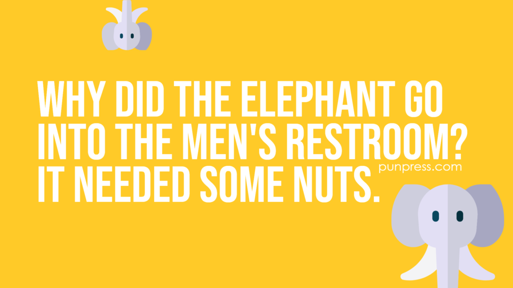 why did the elephant go into the men's restroom? it needed some nuts - elephant puns