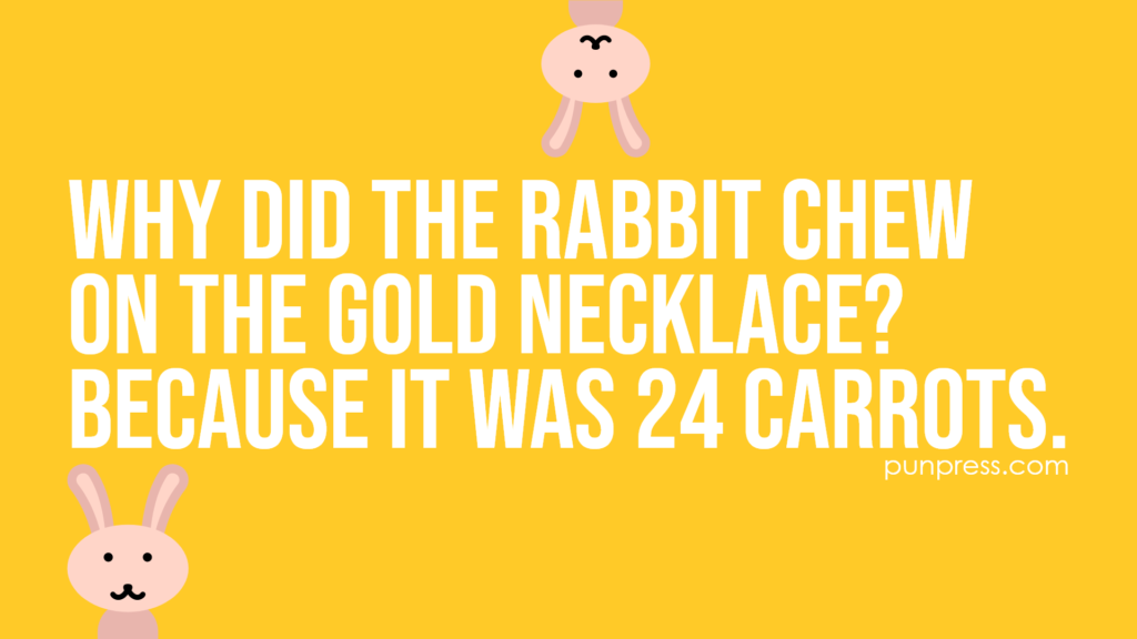 why did the rabbit chew on the gold necklace? because it was 24 carrots - rabbit puns