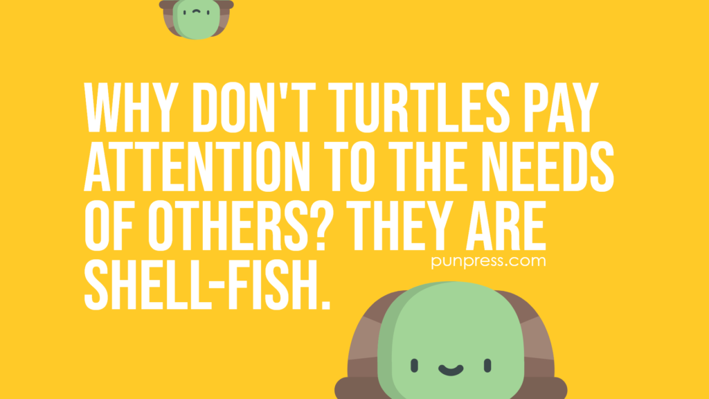 why don't turtles pay attention to the needs of others? they are shell-fish - turtle puns