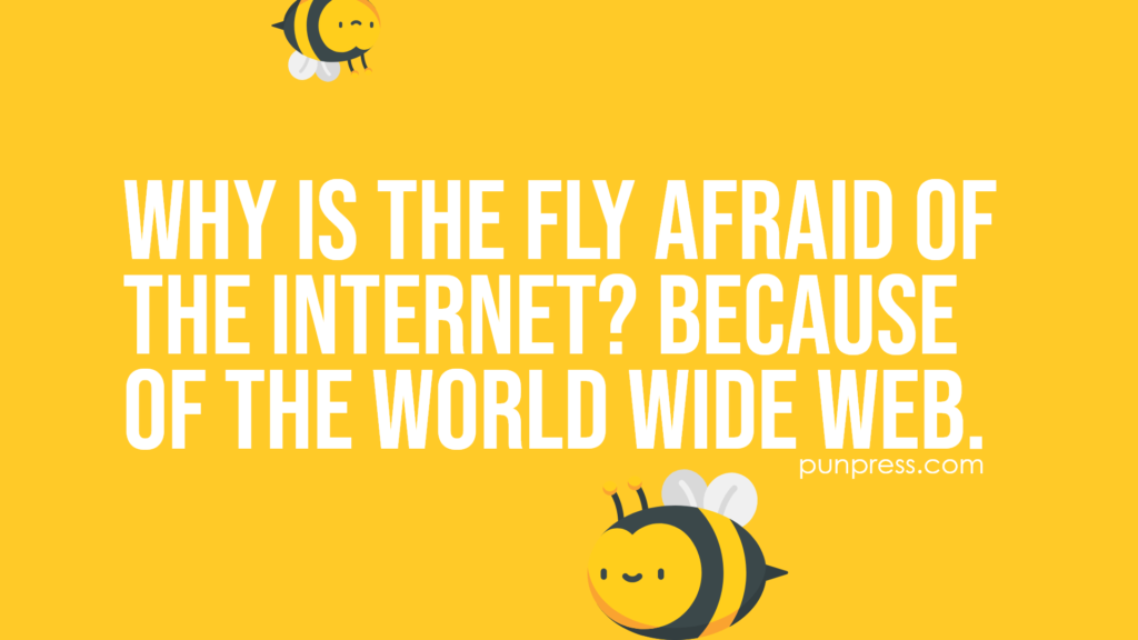 why is the fly afraid of the internet? because of the world wide web - bug puns