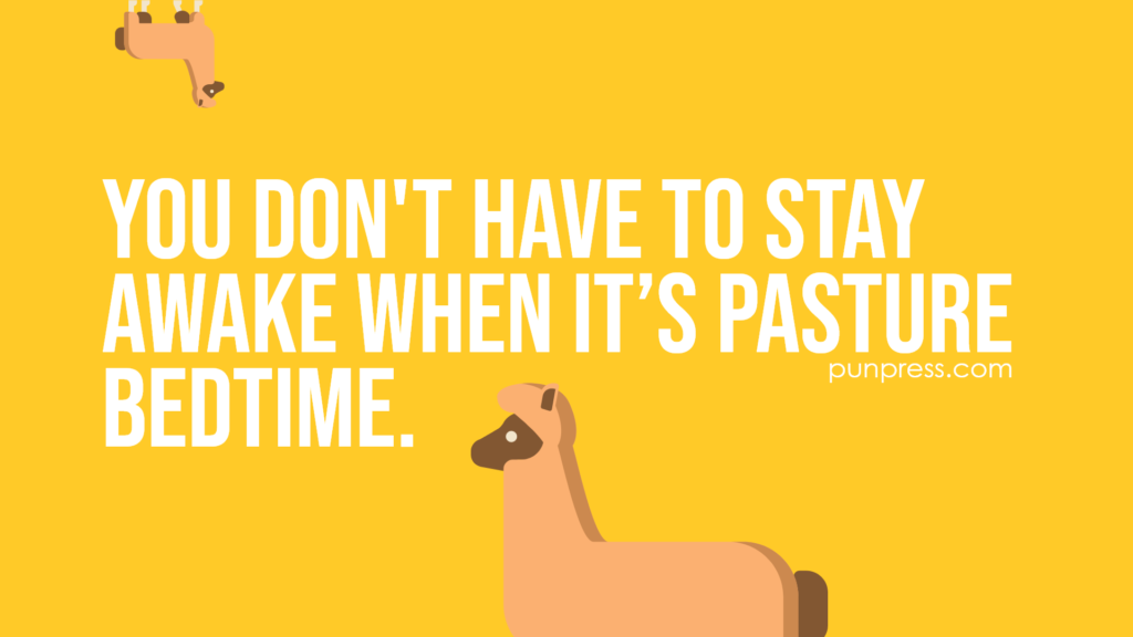 you don't have to stay awake when it’s pasture bedtime - alpaca puns
