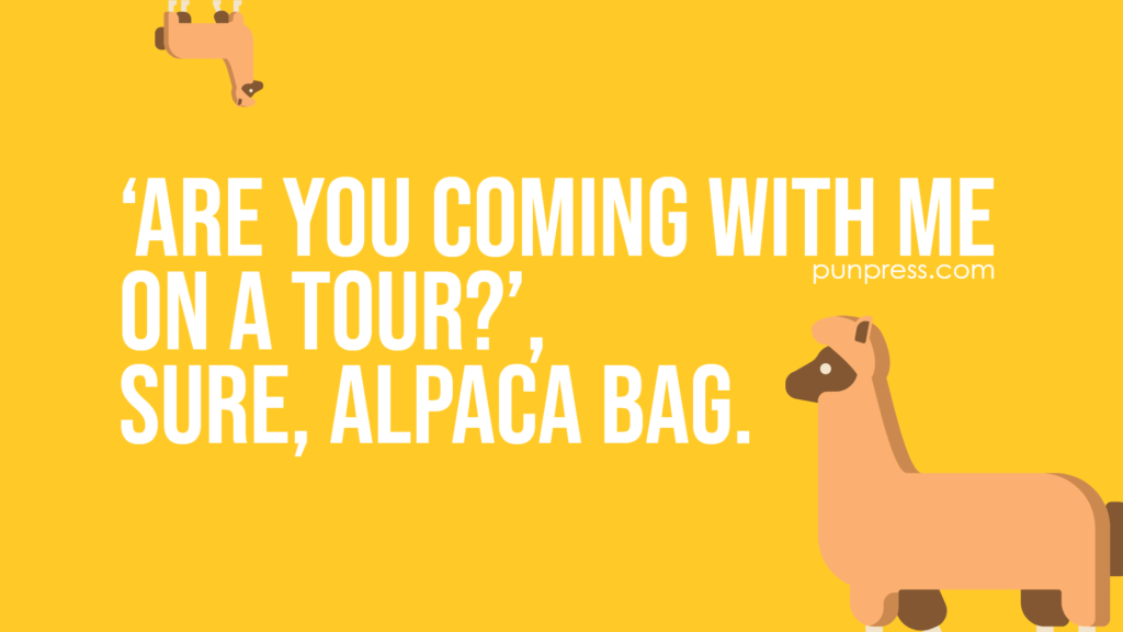‘are you coming with me on a tour?’,sure, alpaca bag - alpaca puns
