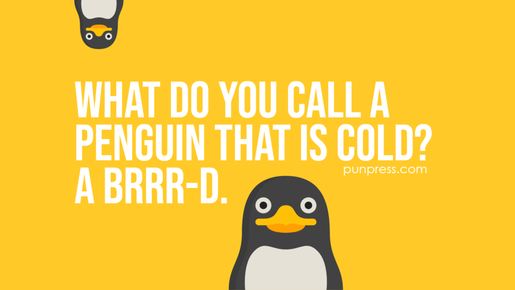 What do you call a penguin that is cold? A brrr-d - penguin puns
