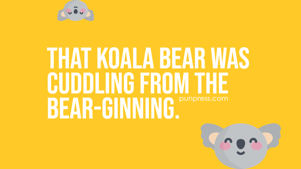 that koala bear was cuddling from the bear-ginning - koala puns
