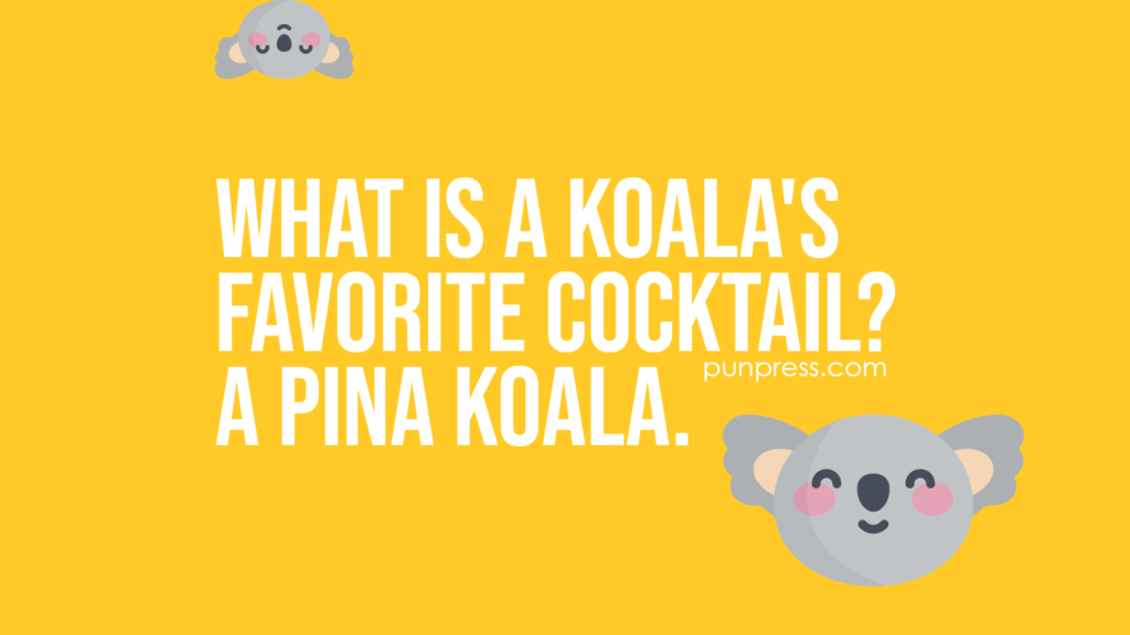 what is a koala's favorite cocktail? a pina koala - koala puns