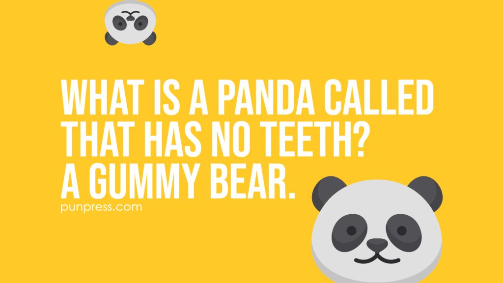 what is a panda called that has no teeth? a gummy bear - panda puns