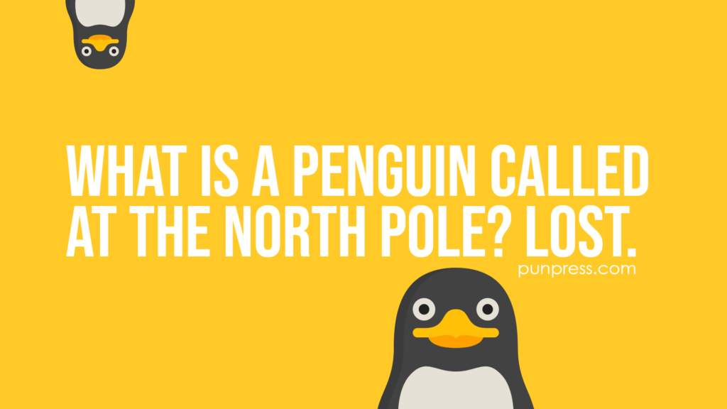 what is a penguin called at the north pole? lost - penguin puns