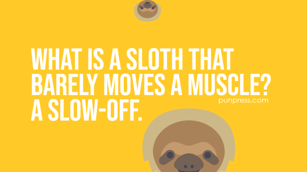 what is a sloth that barely moves a muscle? a slow-off - sloth puns
