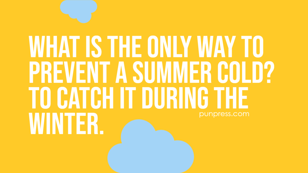what is the only way to prevent a summer cold? to catch it during the winter - weather puns