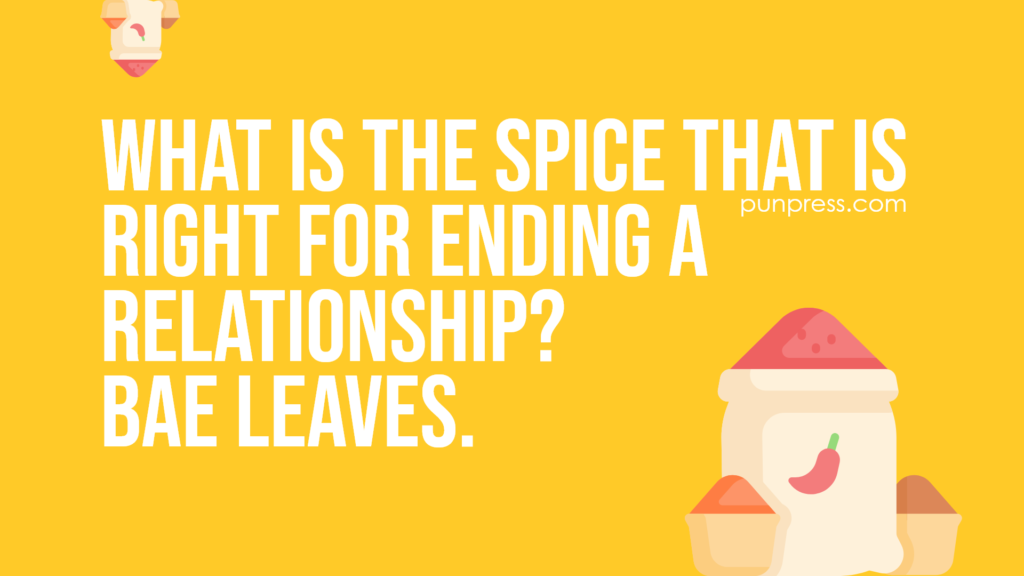 what is the spice that is right for ending a relationship? bae leaves - spice puns