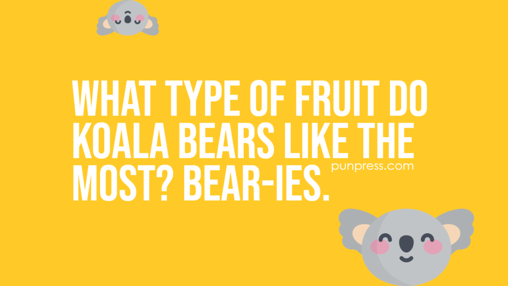 what type of fruit do koala bears like the most? bear-ies. - koala puns