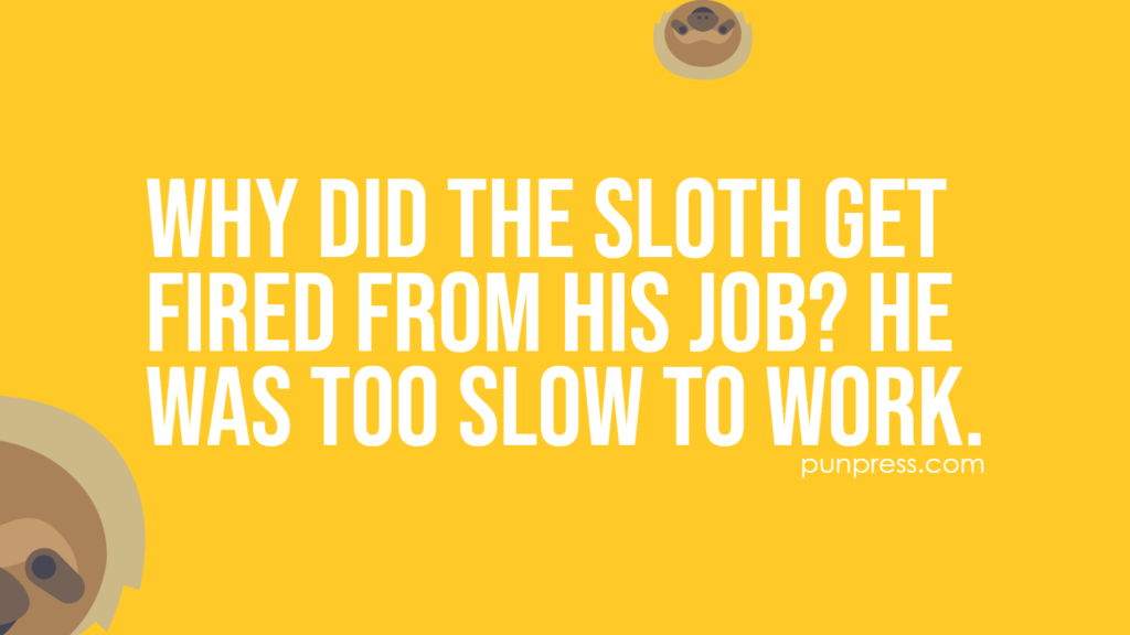 why did the sloth get fired from his job? he was too slow to work - sloth puns