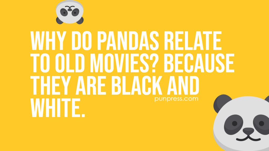 why do pandas relate to old movies? because they are black and white - panda puns