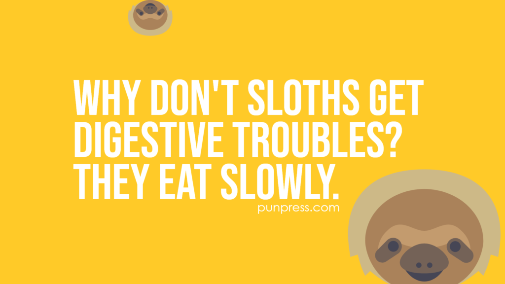 why don't sloths get digestive troubles? they eat slowly - sloth puns