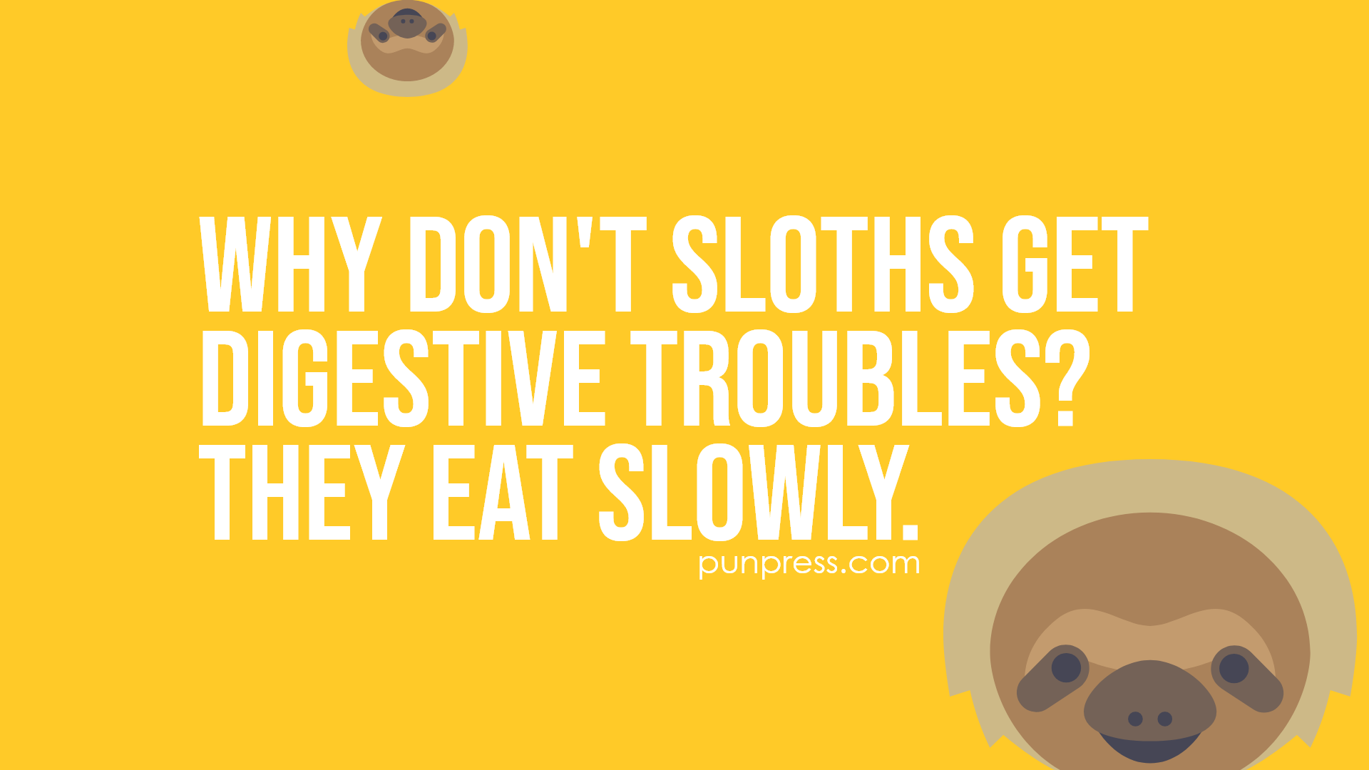 50 Sloth Puns That Will Slowly Make You Laugh - PunPress
