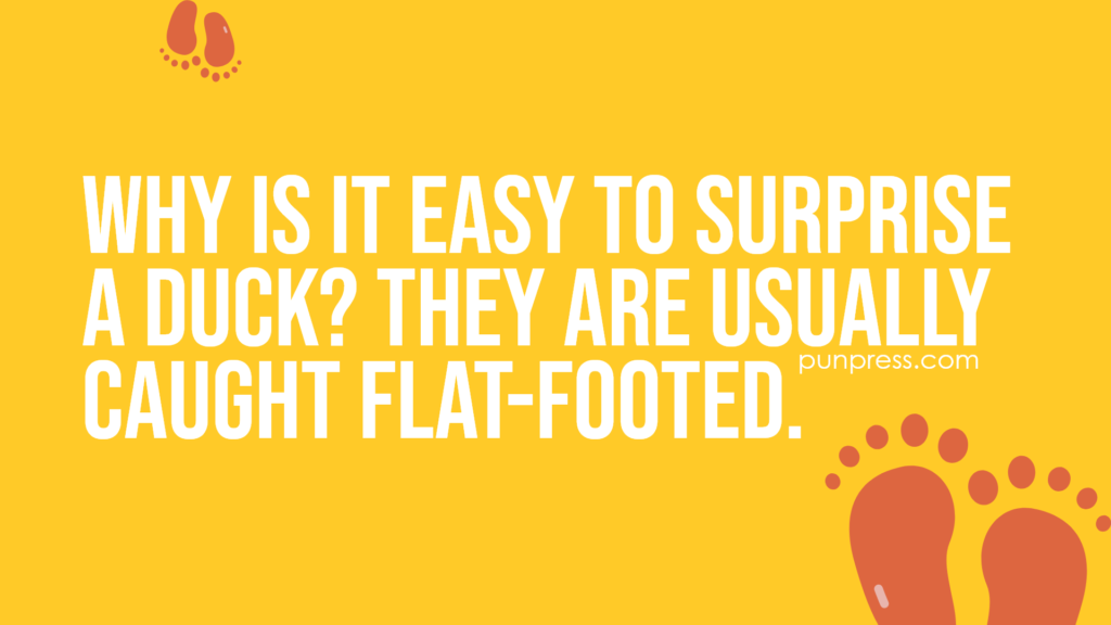why is it easy to surprise a duck? They are usually caught flat-footed - foot puns
