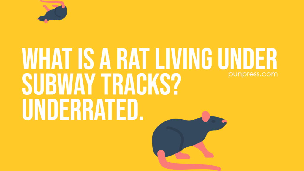 what is a rat living under subway tracks? underrated - rat puns