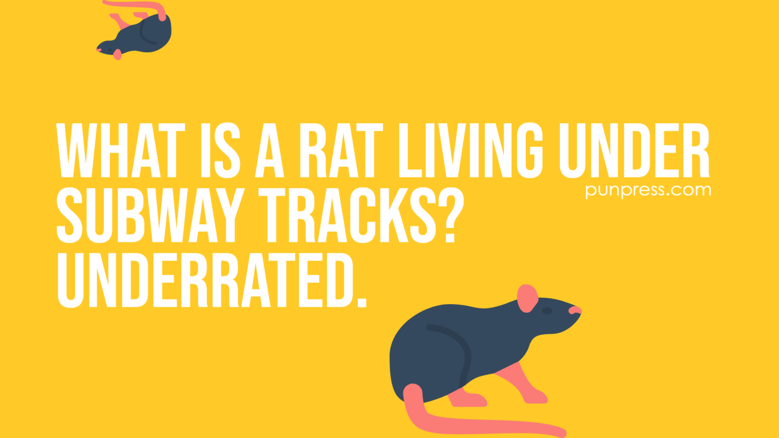 51 Rat Puns That Will Make You Laugh Micely PunPress