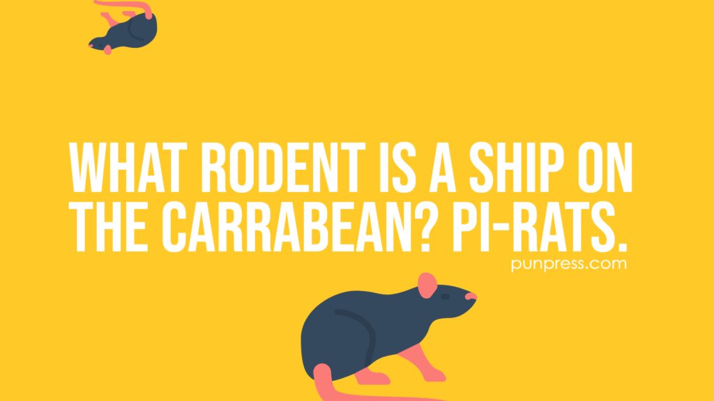 what rodent is a ship on the carrabean? pi-rats - rat puns