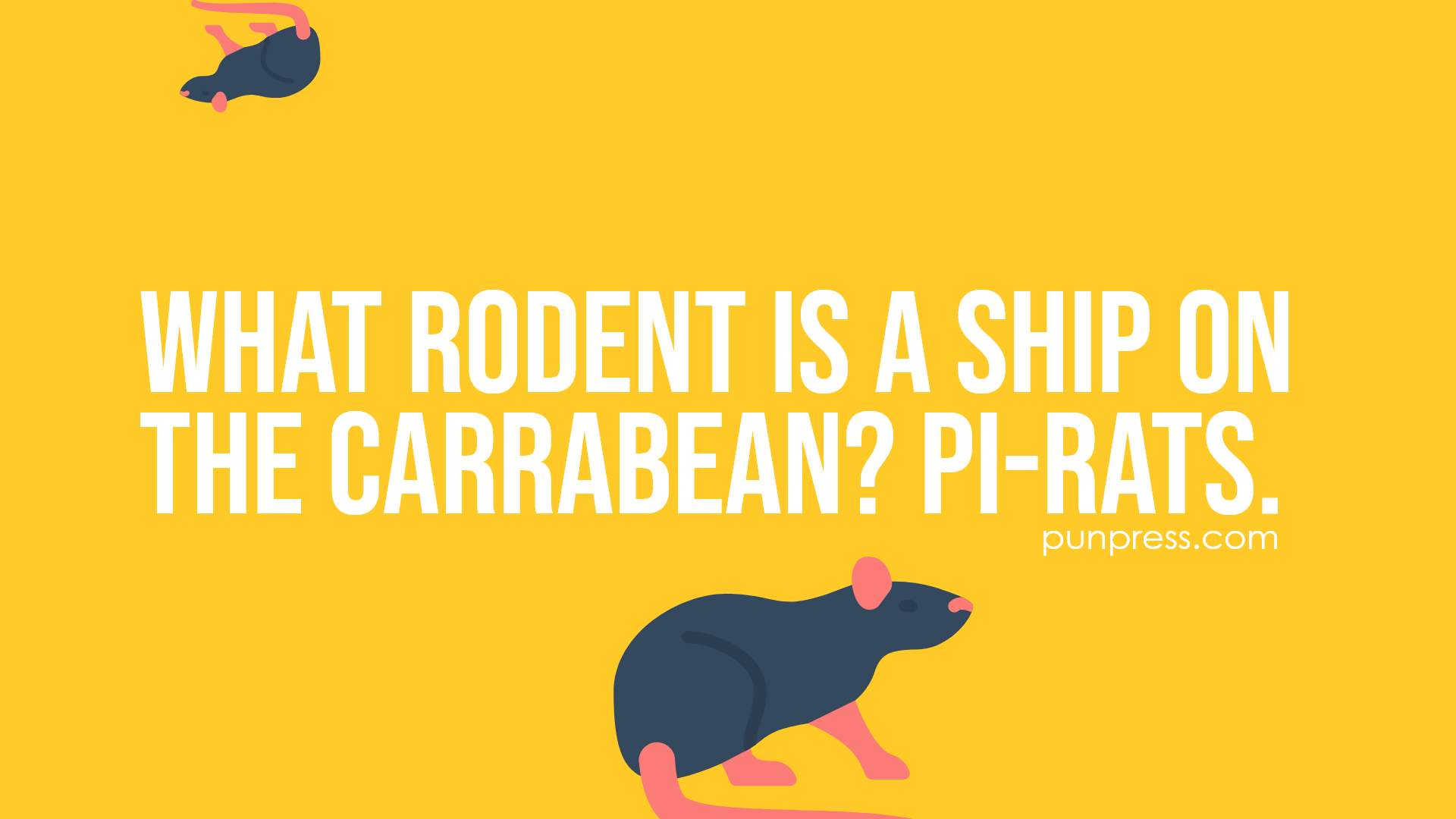 51 Rat Puns That Will Make You Laugh Micely PunPress