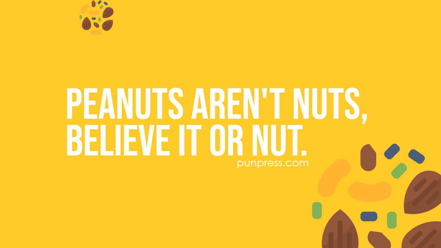 50 Nut Puns That Are Quite Nutty PunPress