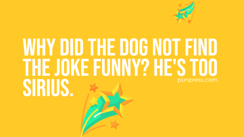 why did the dog not find the joke funny? he's too Sirius - star puns