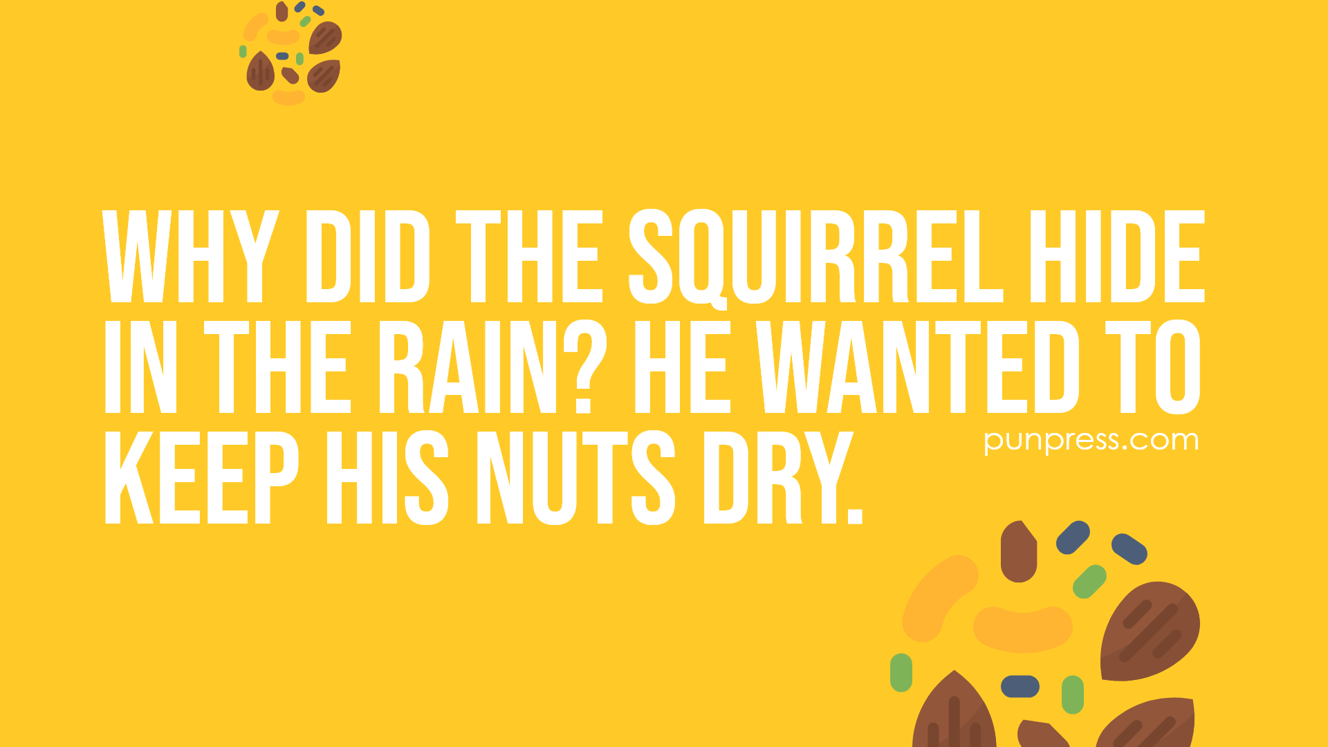 50 Nut Puns That Are Quite Nutty PunPress