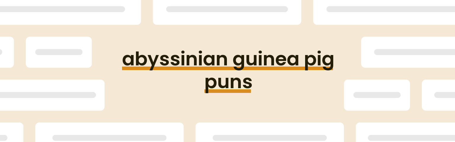abyssinian-guinea-pig-puns