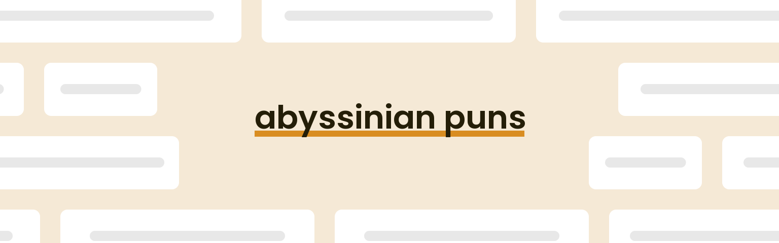 abyssinian-puns
