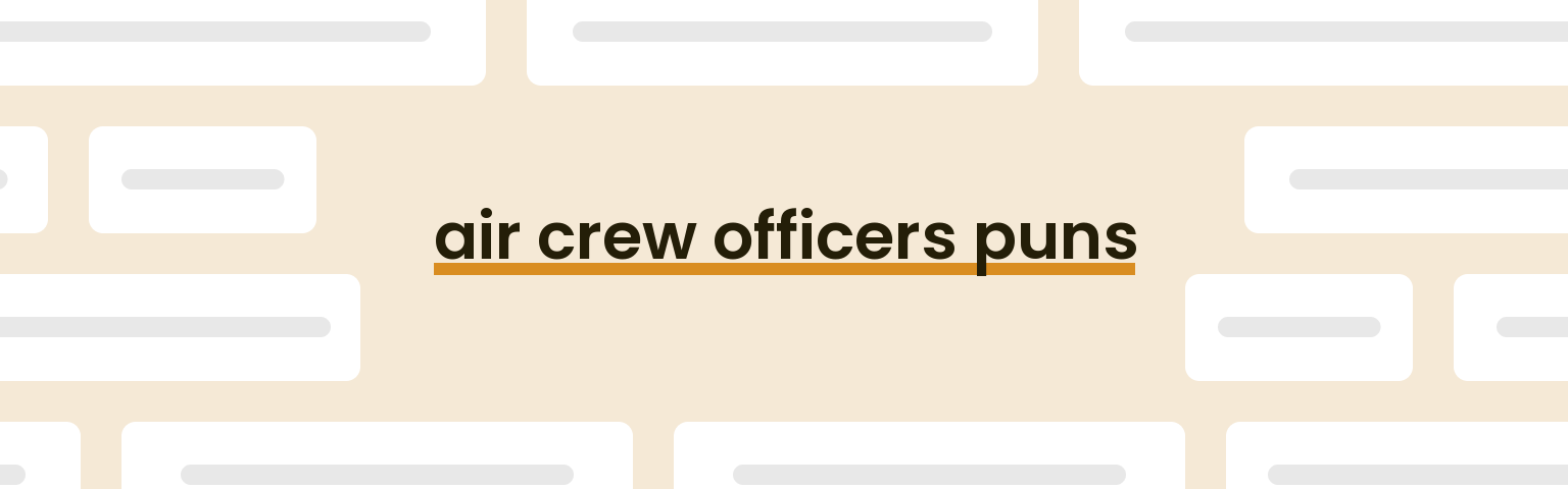 air-crew-officers-puns