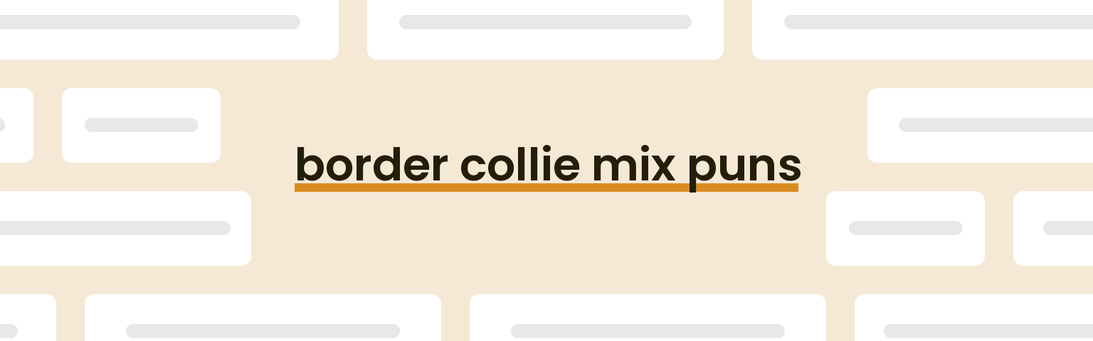border-collie-mix-puns