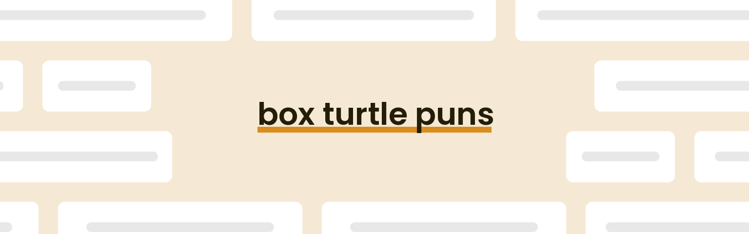 box-turtle-puns