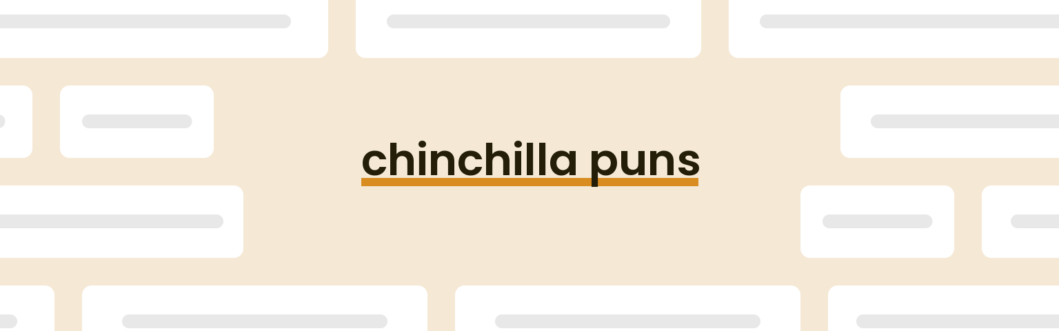 chinchilla-puns