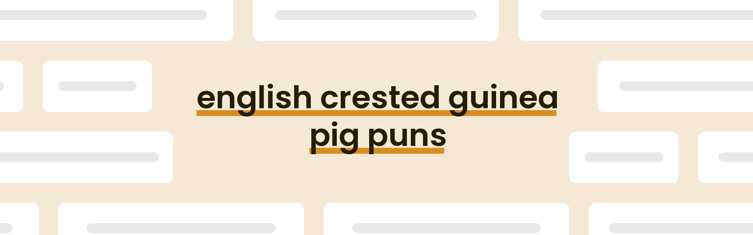 english-crested-guinea-pig-puns