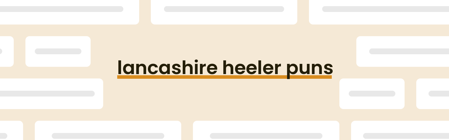 lancashire-heeler-puns