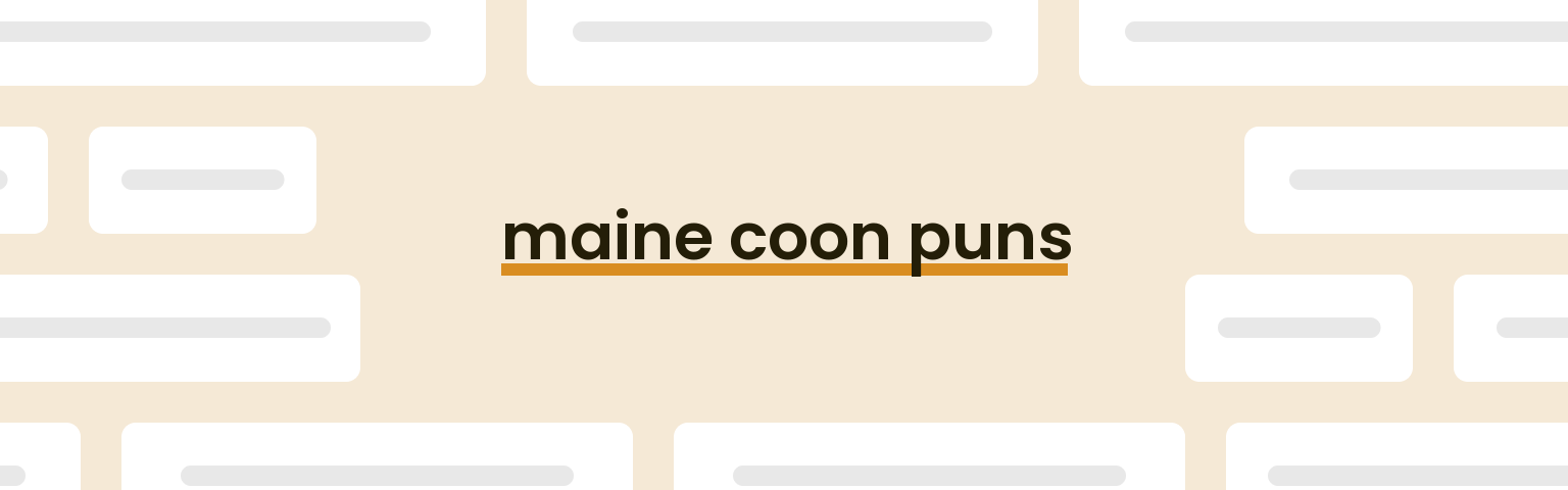 maine-coon-puns