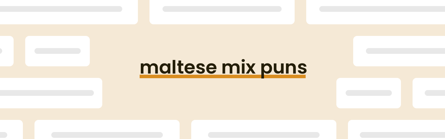 maltese-mix-puns