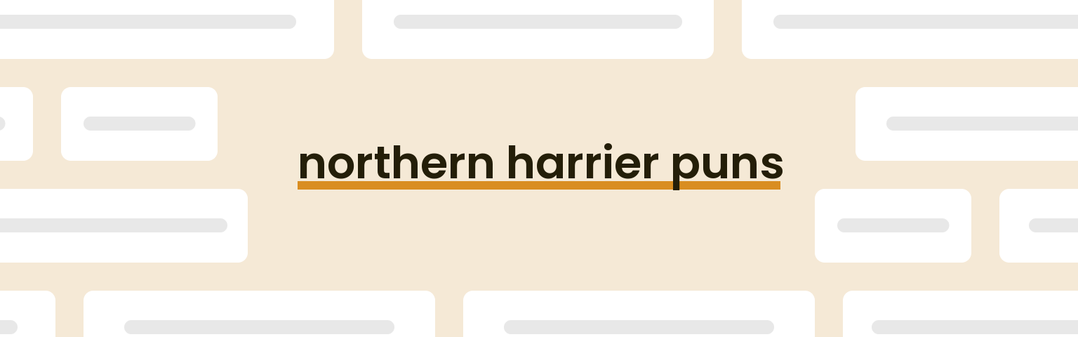 northern-harrier-puns