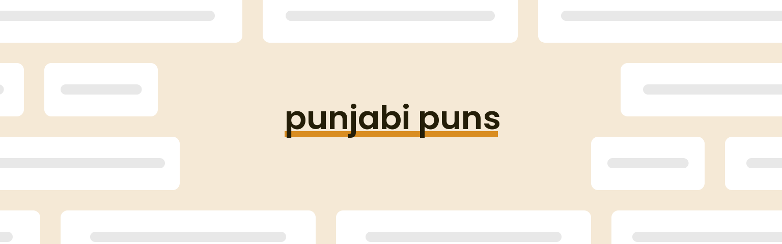 punjabi-puns