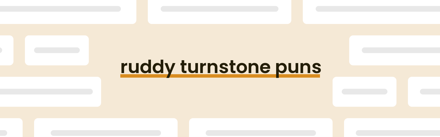 ruddy-turnstone-puns