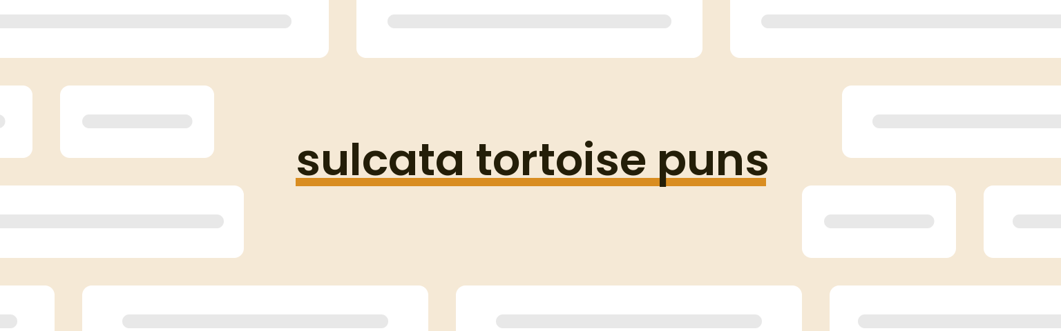 sulcata-tortoise-puns